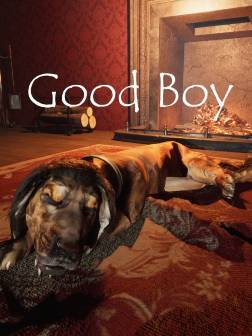 Good Boy The Long Night